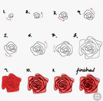 come disegnare una rosa aperta