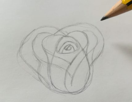 disegno di una rosa